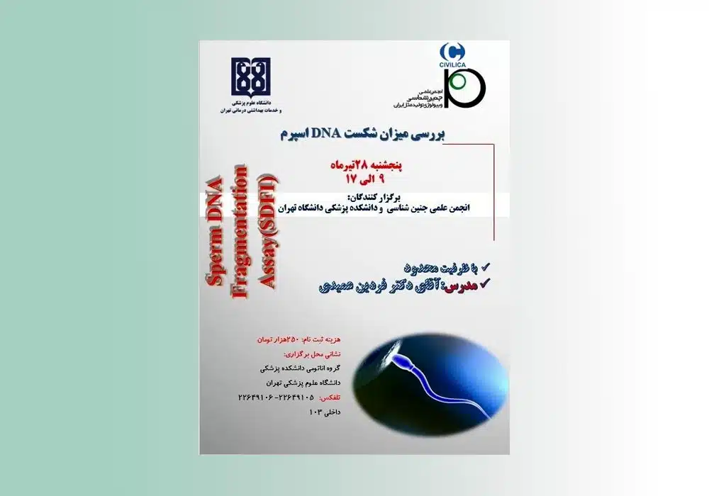 Image-Course1