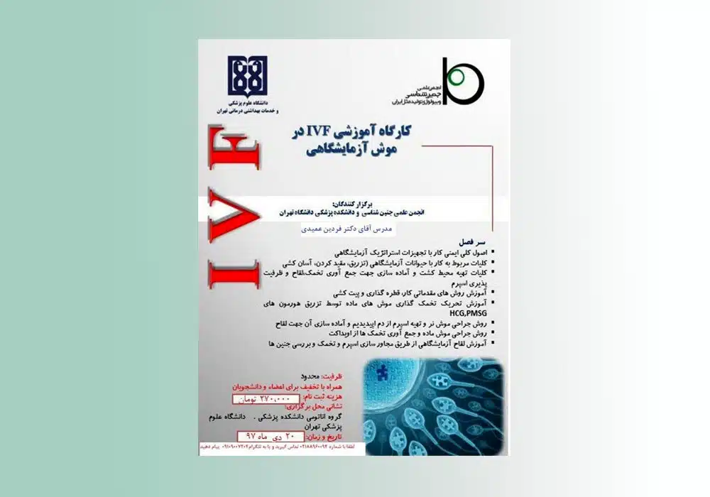 Image-Course2