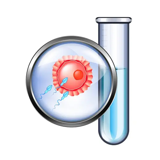 ivf2 ivf2