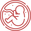 Fetal-Reduction-Icon