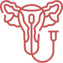Uterus-Prp-Icon