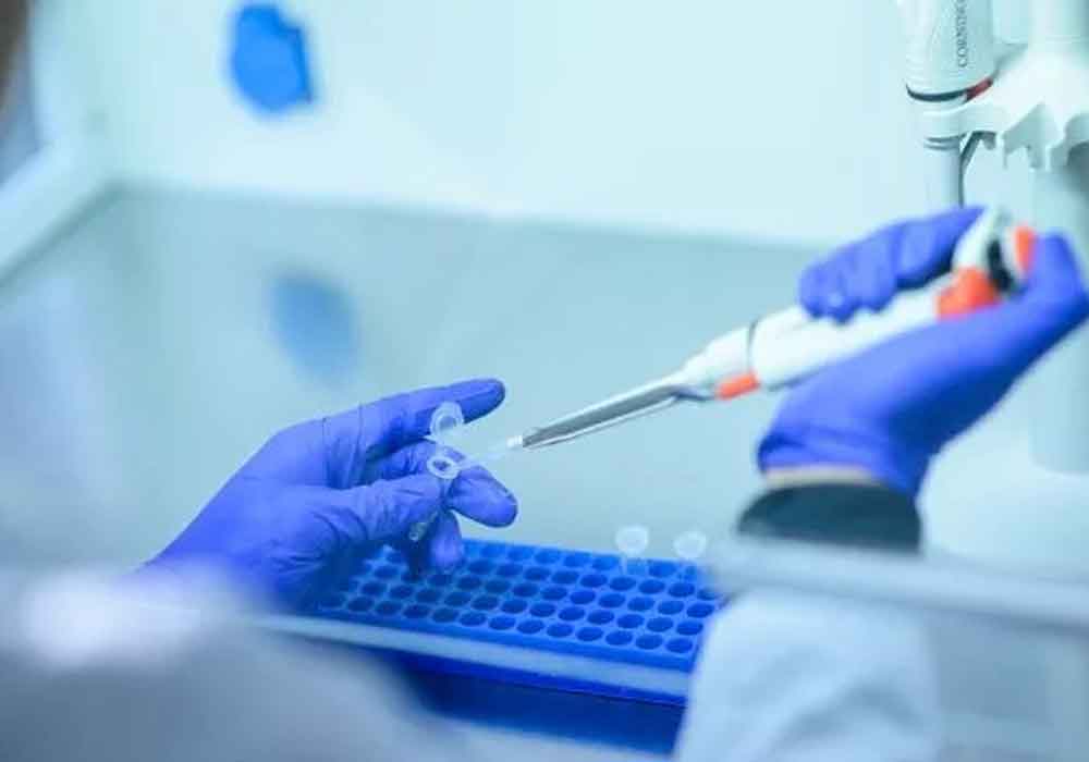 ivf-laboratory