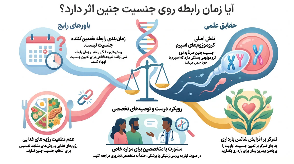 بهترین زمان بارداری بعد از پریود، محاسبه روز تخمکگذاری و پنجره باروری 3 آیا زمان رابطه روی جنسیت جنین اثر دارد؟