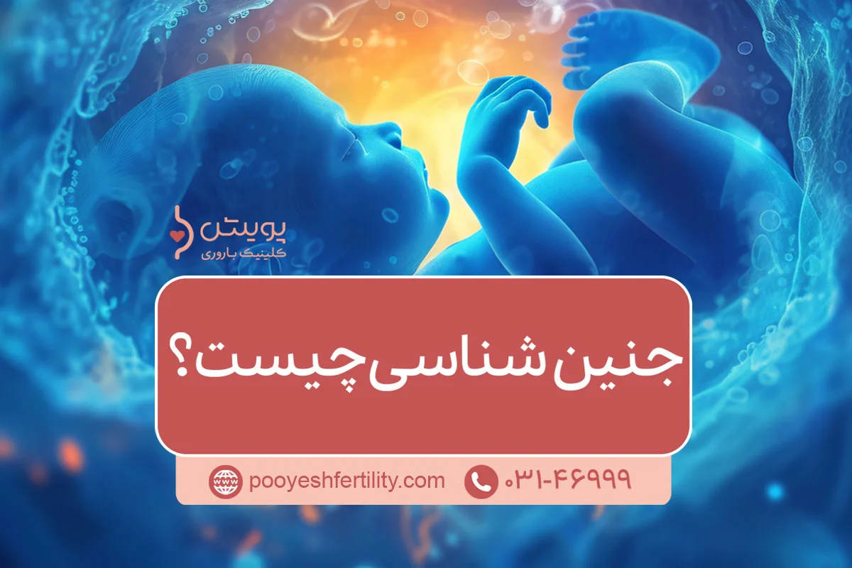 جنین شناسی چیست؟
