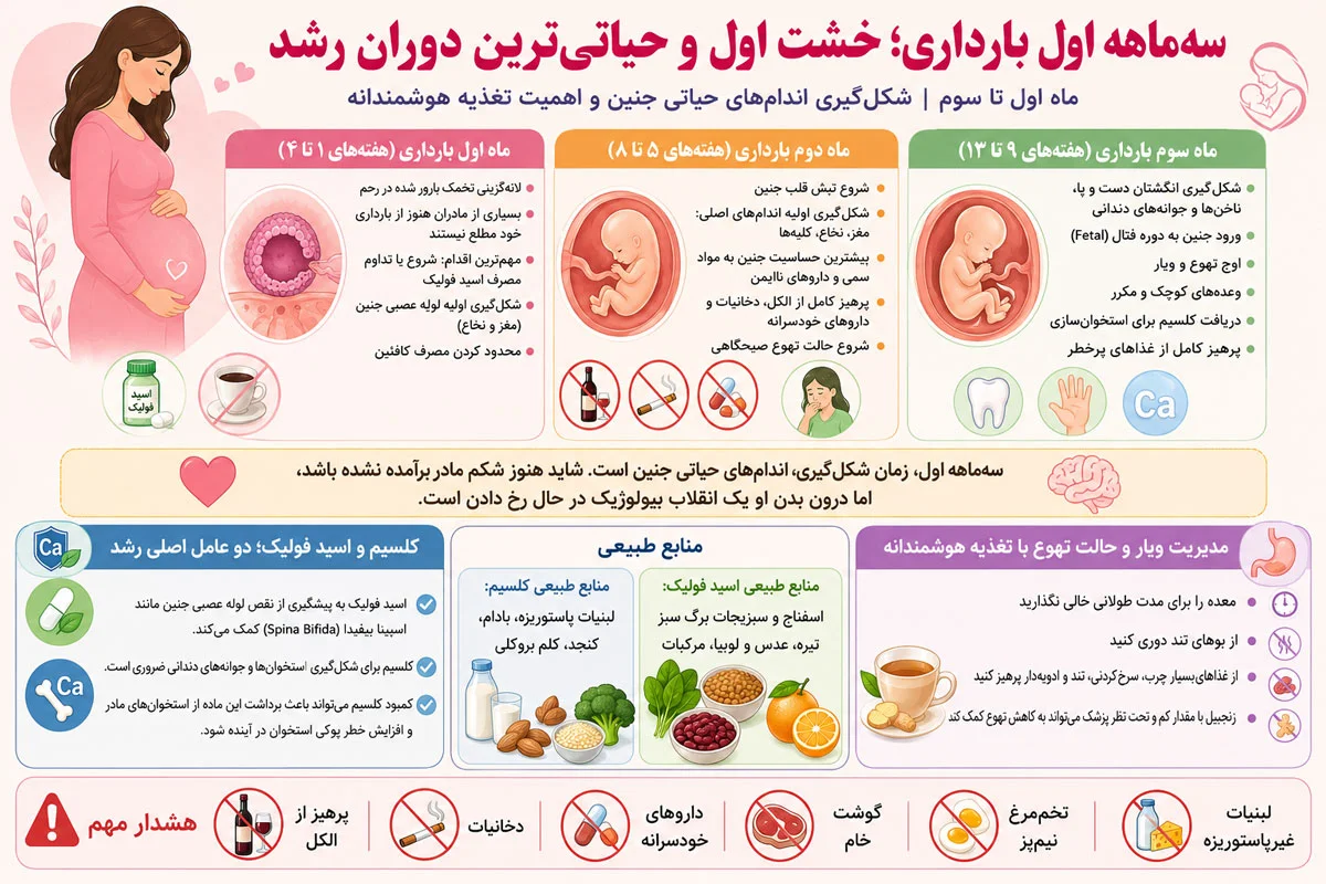 تغذیه و دارو در بارداری، راهنمای کامل ماه اول تا ماه آخر برای سلامت مادر و جنین 1 سهماهه اول بارداری