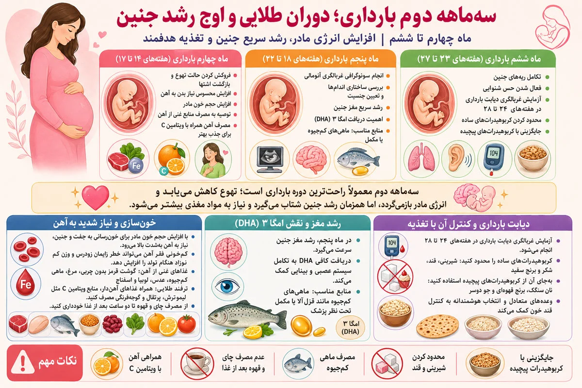 تغذیه و دارو در بارداری، راهنمای کامل ماه اول تا ماه آخر برای سلامت مادر و جنین 3 سهماهه دوم بارداری