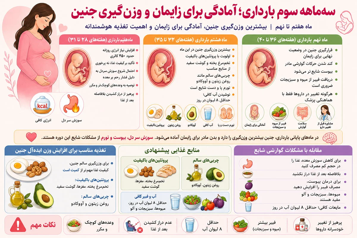 تغذیه و دارو در بارداری، راهنمای کامل ماه اول تا ماه آخر برای سلامت مادر و جنین 4 سهماهه سوم بارداری