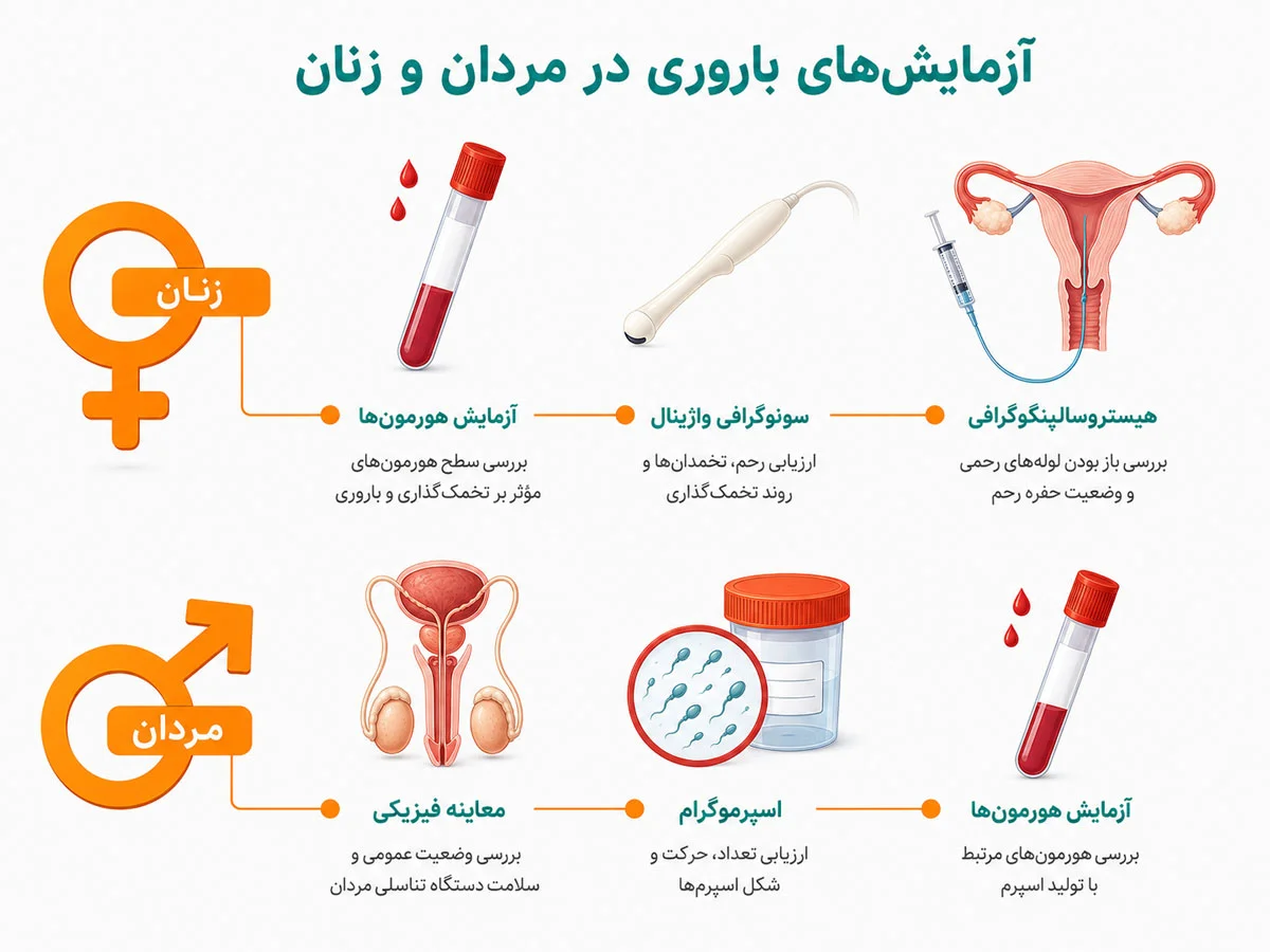 تشخیص ناباروری؛ آزمایشهای لازم برای زنان و مردان قبل از شروع درمان 3 زمانبندی و هدف در آزمایش ناباروری زنان و مردان