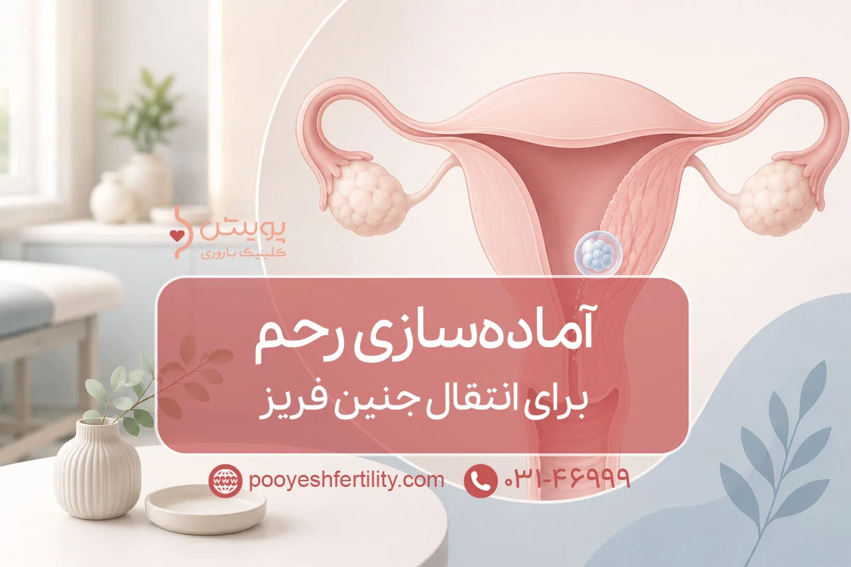 آماده‌سازی رحم برای انتقال جنین فریز