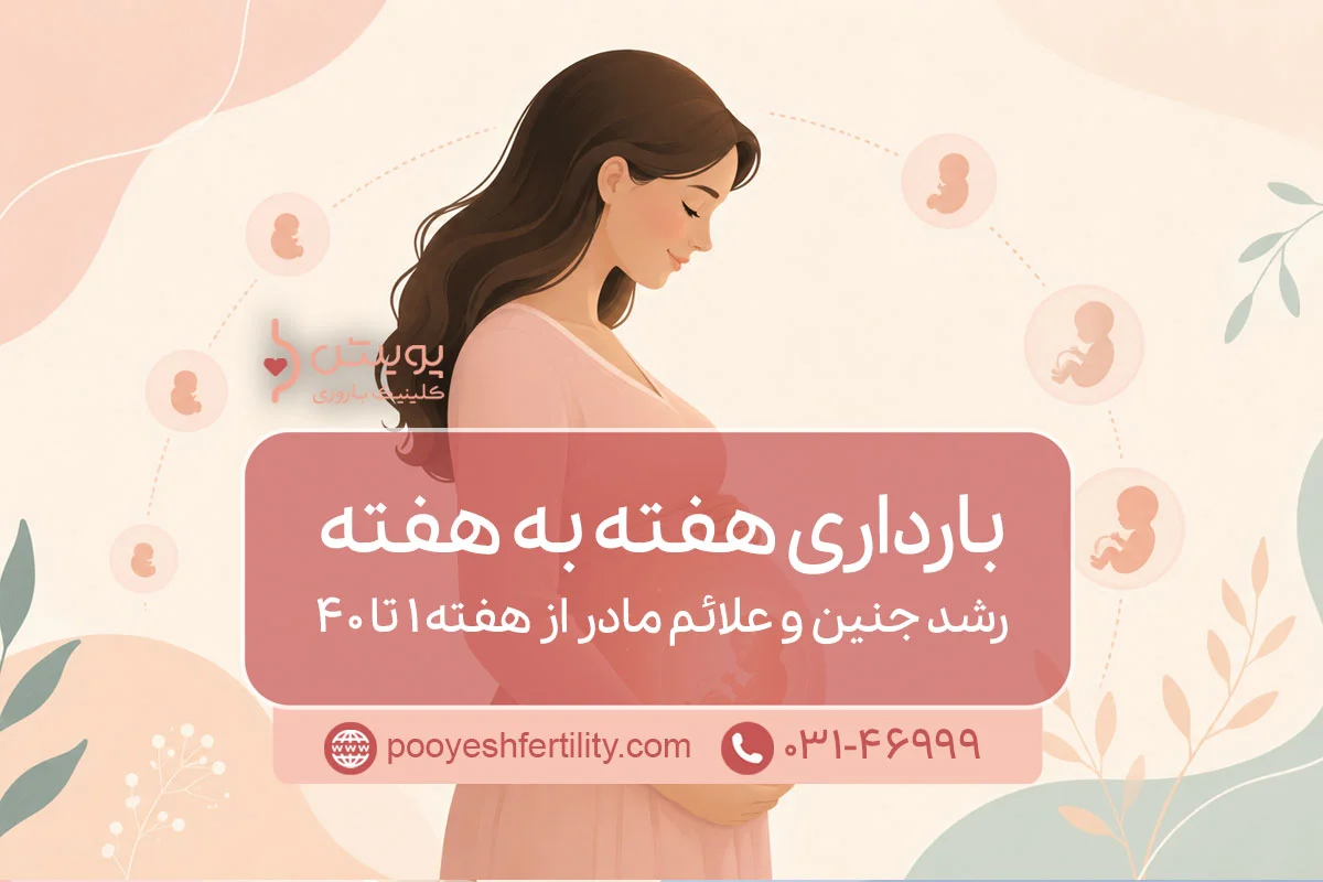 بارداری هفته به هفته