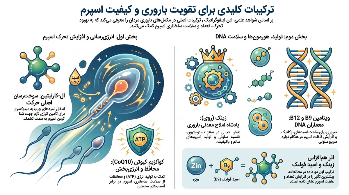 مکمل تقویت اسپرم؛ بررسی ترکیبات مؤثر برای بهبود کیفیت اسپرم 1 بررسی علمی قویترین ترکیبات در انواع مکمل برای تقویت اسپرم