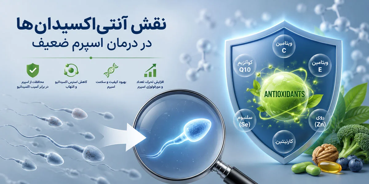 مکمل تقویت اسپرم؛ بررسی ترکیبات مؤثر برای بهبود کیفیت اسپرم 2 نقش آنتیاکسیدانها در درمان اسپرم ضعیف