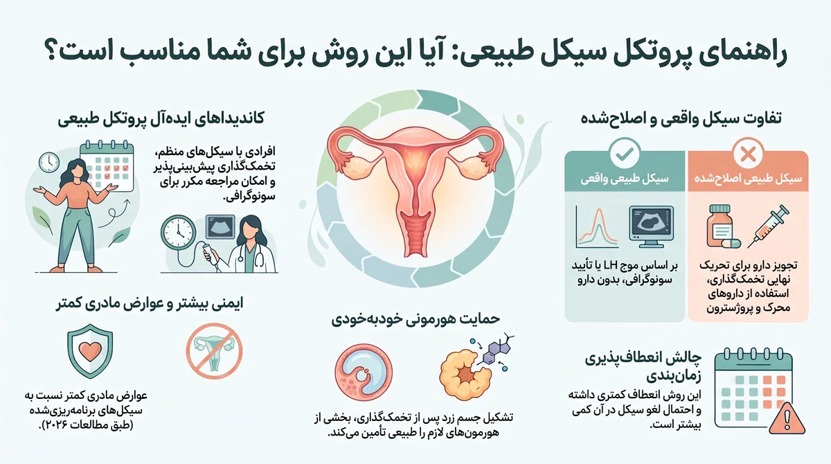 آمادهسازی رحم برای انتقال جنین فریز؛ از داروها تا زمانبندی 2 پروتکل سیکل طبیعی