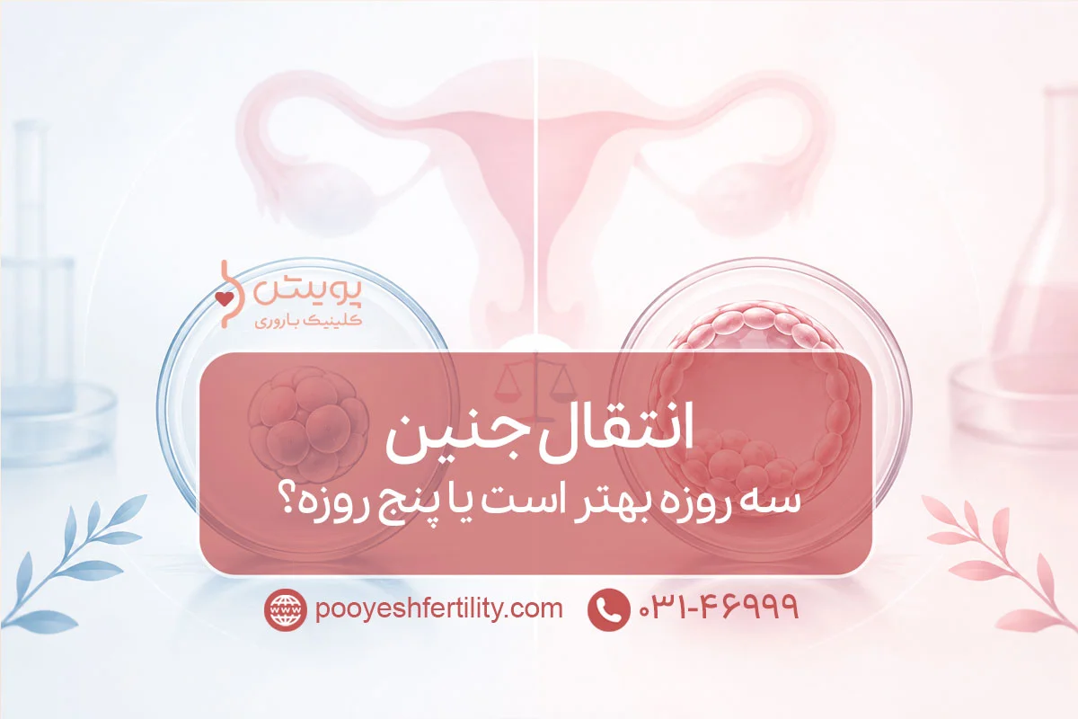 انتقال جنین سه روزه بهتر است یا پنج روزه؟