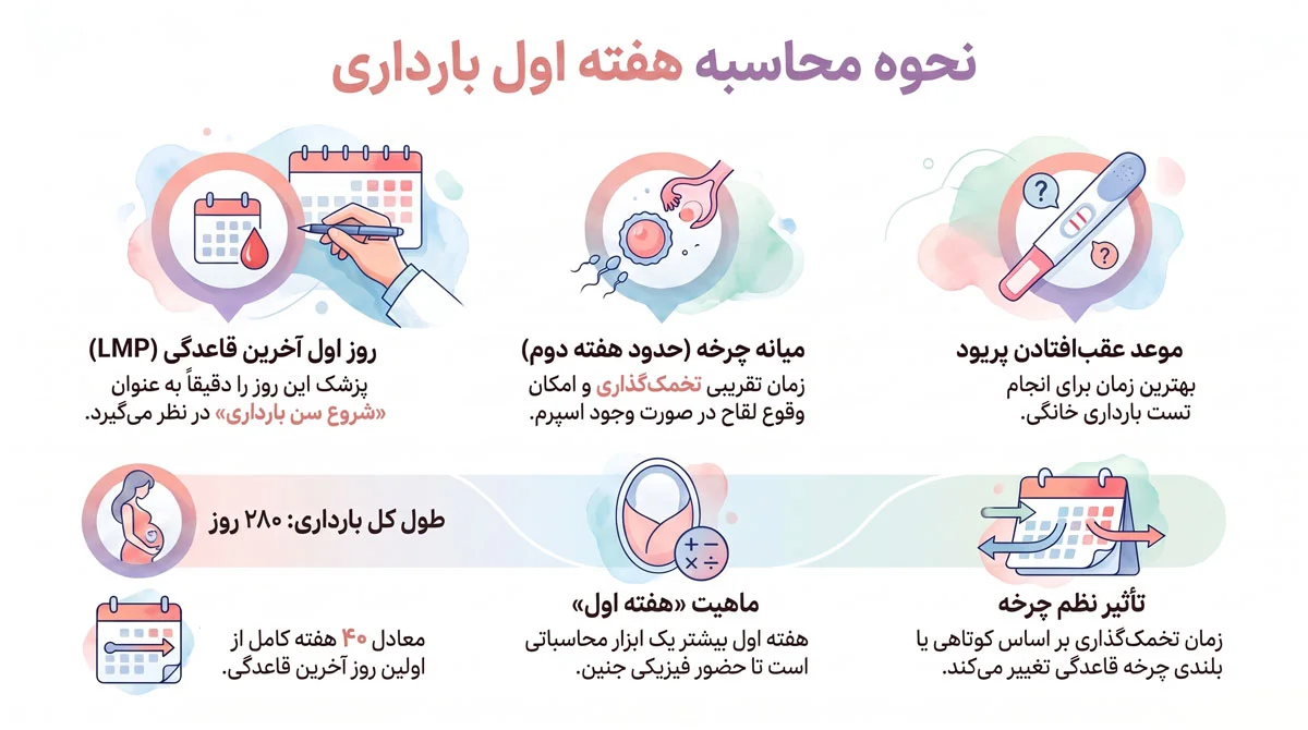 هفته اول بارداری، علائم واقعی، تغییرات بدن و زمان تست 1 هفته اول بارداری دقیقاً از چه روزی شروع میشود؟