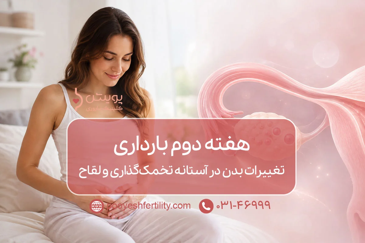 هفته دوم بارداری