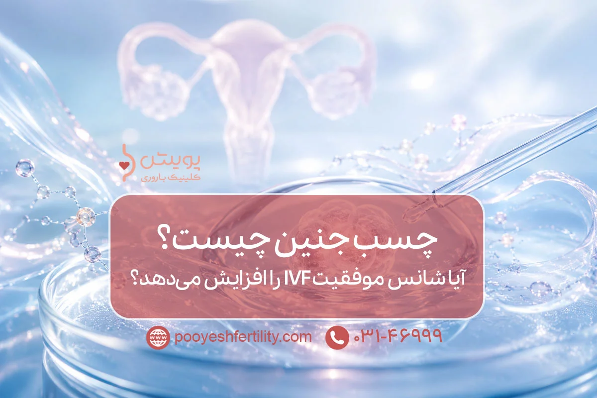 چسب جنین چیست؟